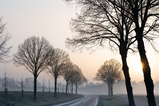 A landscape shrouded in fog. A road winds through the landscape. The trees are bare.