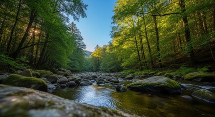 Obraz premium Sunlit Forest River Flowing Over Rocks Amidst Lush Green Trees
