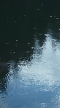 Raindrops falling on water surface creating circular ripples during rainy day