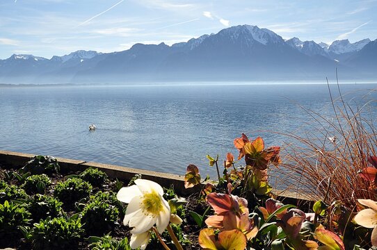 Genfer See