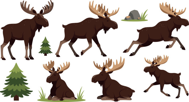Cute Cartoon Moose Character Set with Pine Trees Grass Rock Vector Illustration