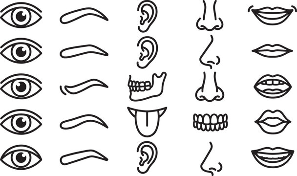 An illustrative collection of human face element.  A minimalist vector illustrations of human eyes, eyebrows, ears, noses, lips, and tongue on a backdrop.