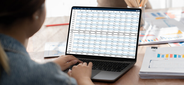 Accounting software on computer screen showing financial statement spreadsheets and account balance of corporate business offer accountant a fine calculation accounting brisk