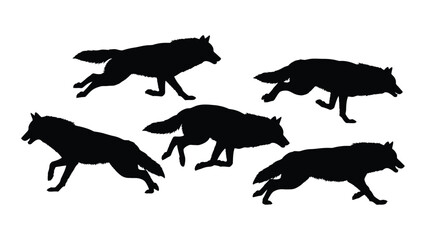 Detailed analysis of a pack of wolves in motion through silhouette illustrations © Bipul