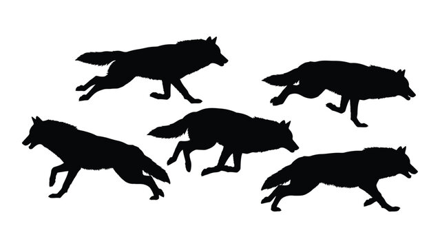 Detailed analysis of a pack of wolves in motion through silhouette illustrations