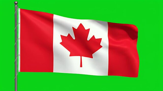 Waving Canadian flag on a pole against a green screen backdrop