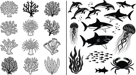 Underwater life vector. Set of marine animals, including sharks, dolphins, jellyfish, and various coral and sea plants © Creative Rejia