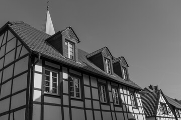 Frühling in Westerholt © Stephan Sühling