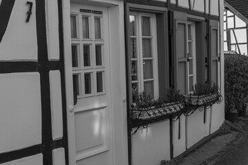 Frühling in Westerholt © Stephan Sühling