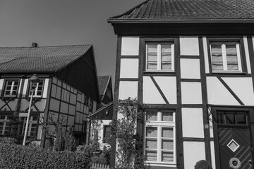 Frühling in Westerholt © Stephan Sühling