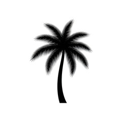 Obraz premium A black silhouette of a palm tree against a white background isolated on transparent background