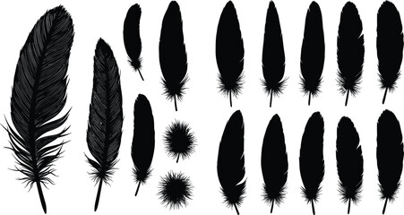 Black feather silhouettes, bird plumage, natural design, vector illustration, decorative pattern, flying element, minimalist background, detailed texture, nature art, abstract graphic © Creative Rejia
