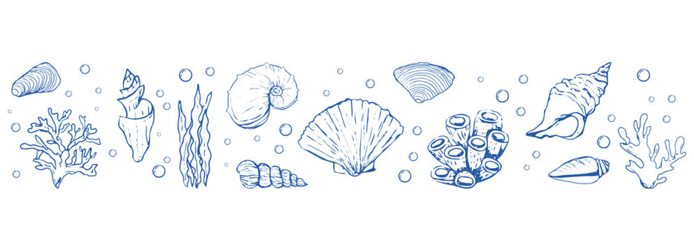 Blue seashells and starfish set sketch hand drawn seamless border coastal horizontal pattern. Summer vacation design elements for trendy prints, 
