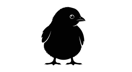 Obraz premium Cute Baby Chick Silhouette Isolated on White Background