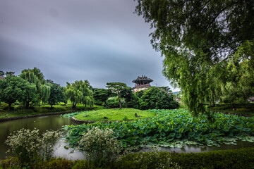 Obraz premium Yongyeon Pond at Suwon Hwaseong Fortress in Summer