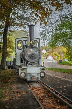 Narrow-gauge steam locomotive replica Orenstein & Koppel in an autumn park setting