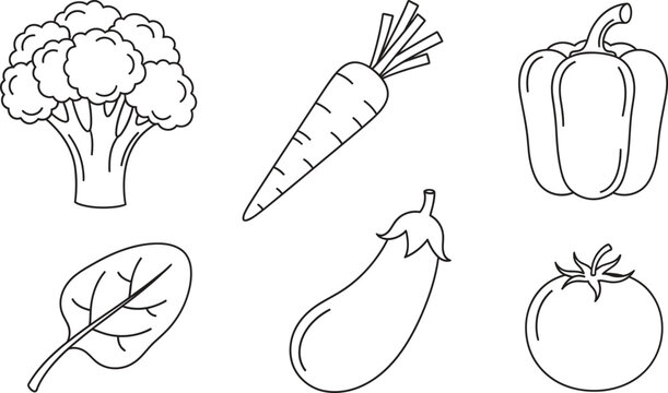 Collection of fresh vegetable outline illustrations featuring broccoli carrot and tomato in a simple line art style perfect for healthy eating concepts and educational materials