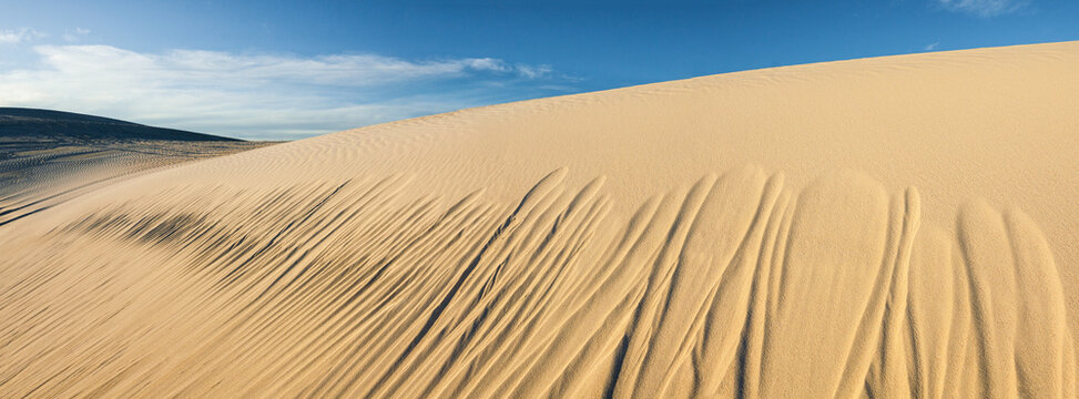 Sand rivulets running down the side of a massive golden sand dune under a blue sky