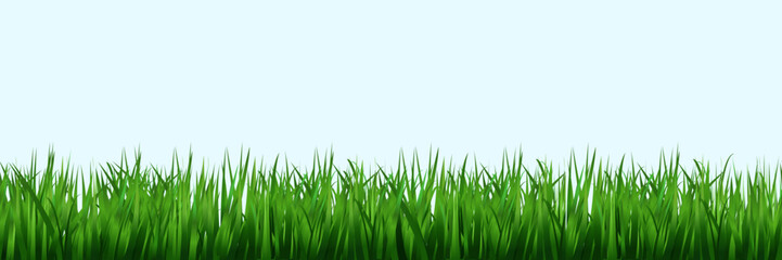 Fototapeta premium Seamless green grass lawn border with lush blades and wild meadow vegetation in cartoon style vector pattern for spring garden landscape background with natural turf texture and outdoor field design