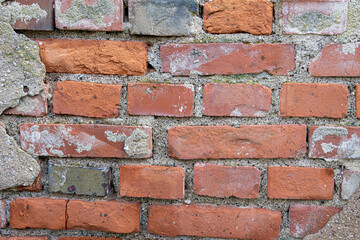 Obraz premium Red brick wall texture background
