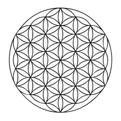 Flower of Life Sacred Geometry Pattern © CllifforD