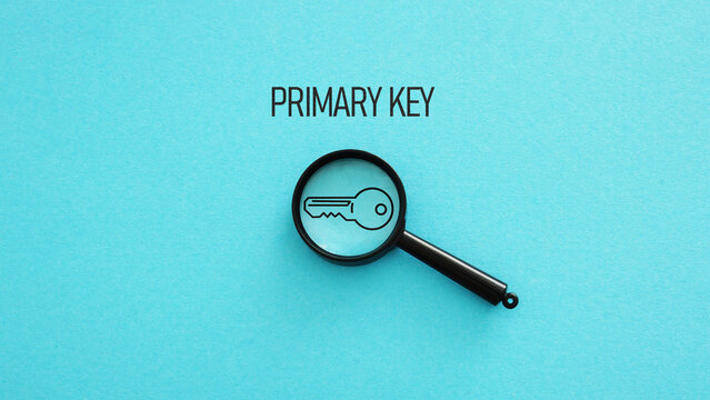 Primary key database illustrating unique identifier used in relational databases for record identification, data integrity, indexing and structured data management in modern information systems