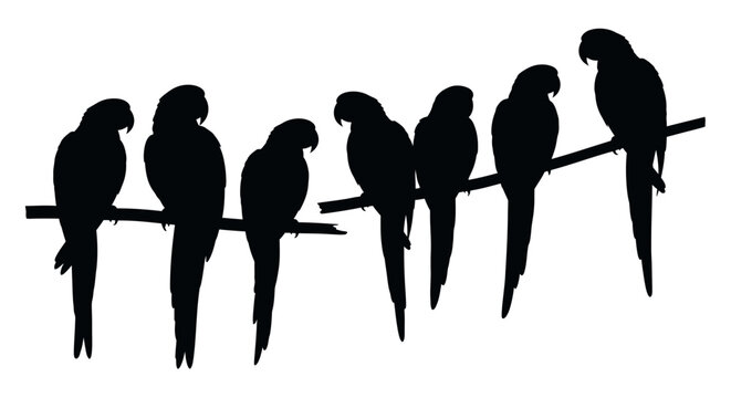 Seven parrot silhouettes perched on a long branch