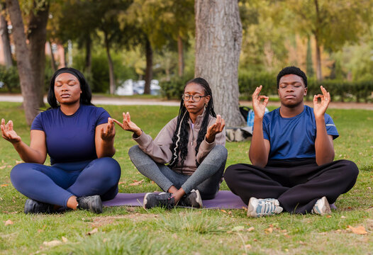 Peaceful group meditation in a tranquil park setting