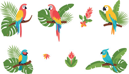 Tropical parrot birds with jungle leaves vector set featuring colorful macaws and exotic rainforest birds perched on branches flat illustration © Jahangir