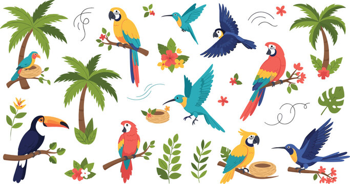 Colorful tropical birds and palm trees vector set featuring parrots, toucan, hummingbirds, nests and jungle plants decorative flat illustration collection