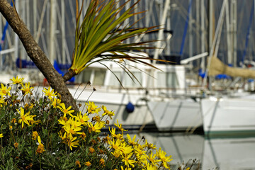Bateaux de plaisance à quai un jour d'orage © PPJ
