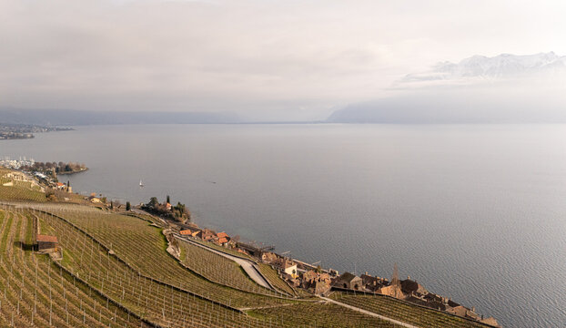 Scenic view of Lavaux vineyards and Lake Geneva