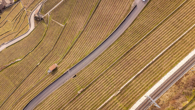 Aerial view of Lavaux vineyards near Vevey, Switzerland
