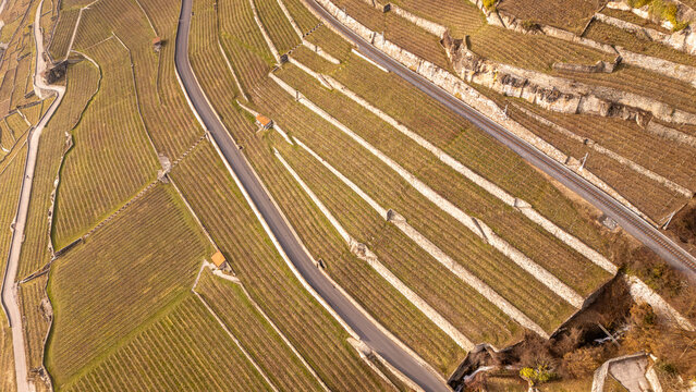 Aerial view of the terraced vineyards of Lavaux