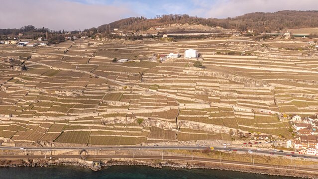 Panoramic view of Lavaux vineyards in Vevey, Switzerland