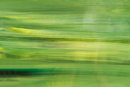 Lush green acrylic paint background with texture