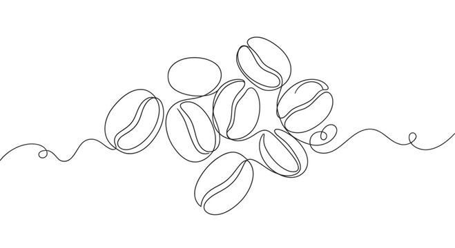 Coffee beans line art vector illustration
