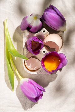 Purple tulips and eggshells in a spring arrangement