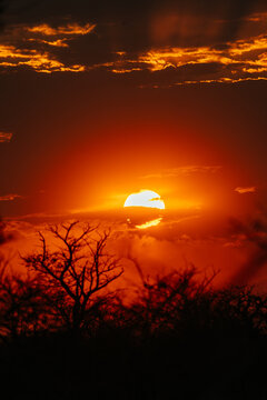 Vibrant sunset over Etosha Park in Namibia