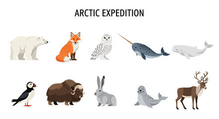 Arctic animals illustration with ARCTIC EXPEDITION title © zyaa