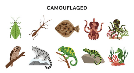 Ten illustrations of camouflaged animals in two rows under the word CAMOUFLAGED © zyaa