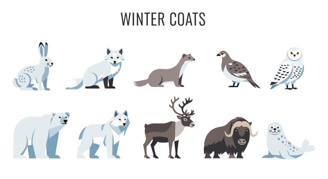 Arctic animals with winter coats illustrated in two rows