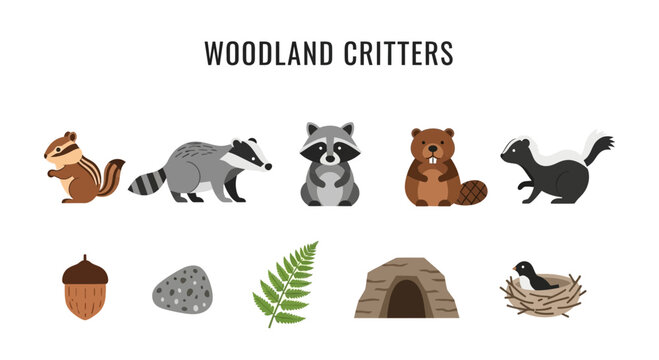 Illustration of woodland critters and natural elements on a white background