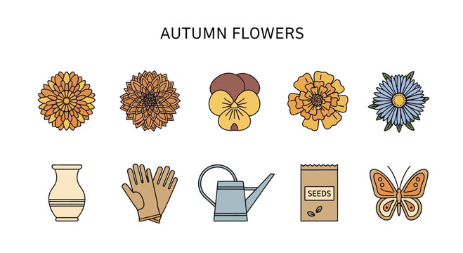 Illustration of five autumn flowers and five gardening icons in two rows
