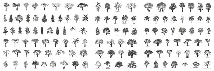 Obraz premium Adobe Illustrator Minimal CAD Tree Line Drawing with Tropical and Oak Trees, Side View Outline Symbols for Architecture and Landscape Design, Clean Minimal Style Vector Illustration with Stroke and Wh