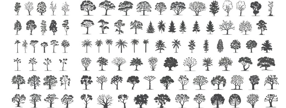 Adobe Illustrator Minimal CAD Tree Line Drawing with Tropical and Oak Trees, Side View Outline Symbols for Architecture and Landscape Design, Clean Minimal Style Vector Illustration with Stroke and Wh
