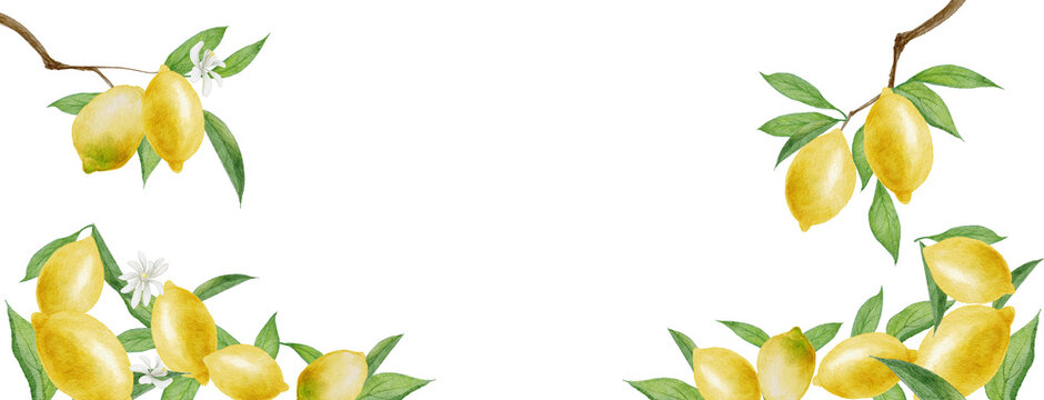 Watercolor lemon frame set, hand-painted fruit and flower border illustration-300dpi-	