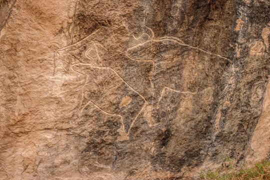 Rock Paintings In Gobustan National Historical Artistic Reserve