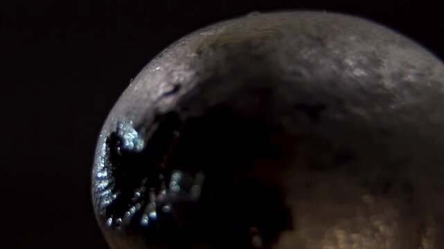 Extreme close-up of pitted black Olive (Olea europaea), processing and oxidized flesh texture. Food Science Background.