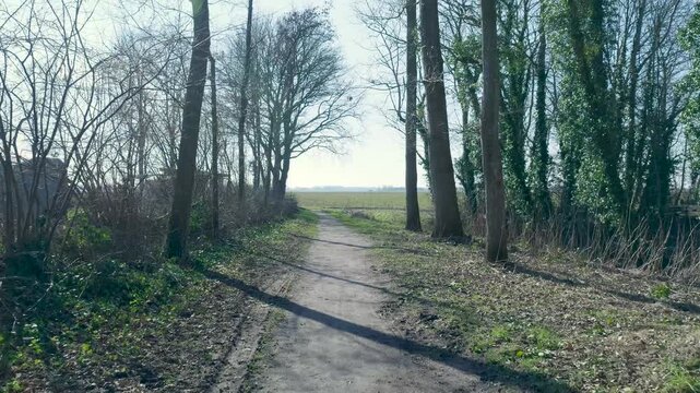 Camera moving forward on a path in a woodland park